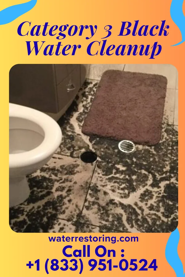 Category 3 Black Water Cleanup in Bradford, PA