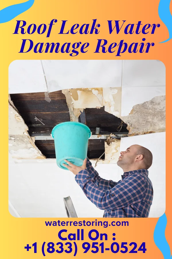 Roof Leak Water Damage Repair in Bradford, PA