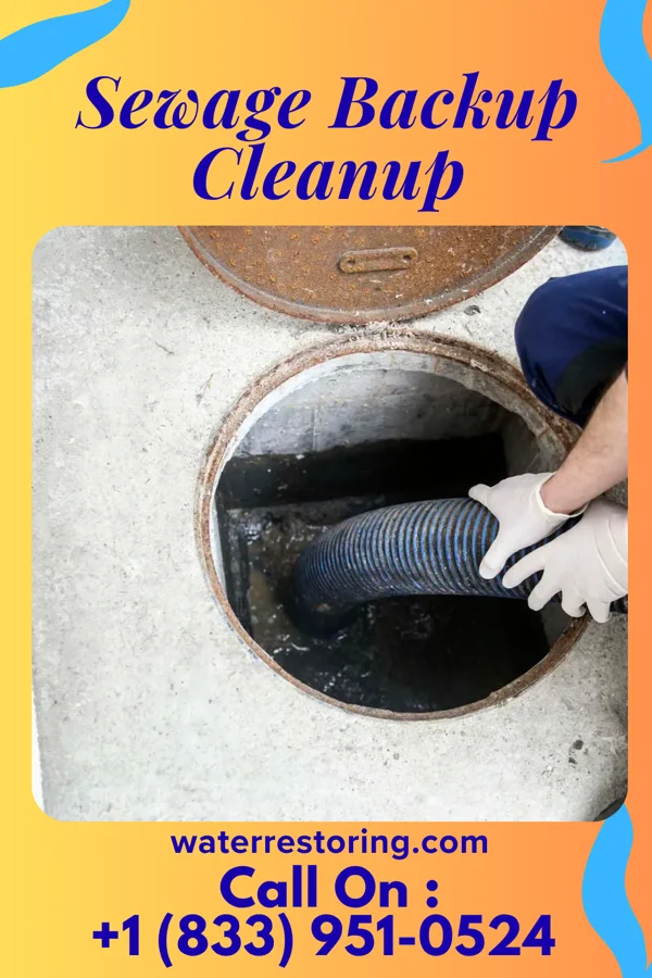 Sewage Backup Cleanup in Bradford, PA