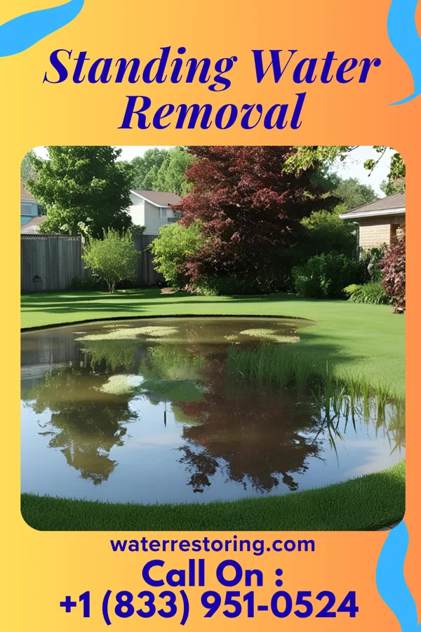 Standing Water Removal in Bradford, PA